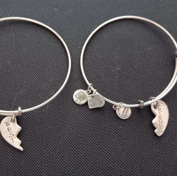 Alex and Ani Vintage Best Friends Bracelet - Picture 1 of 8